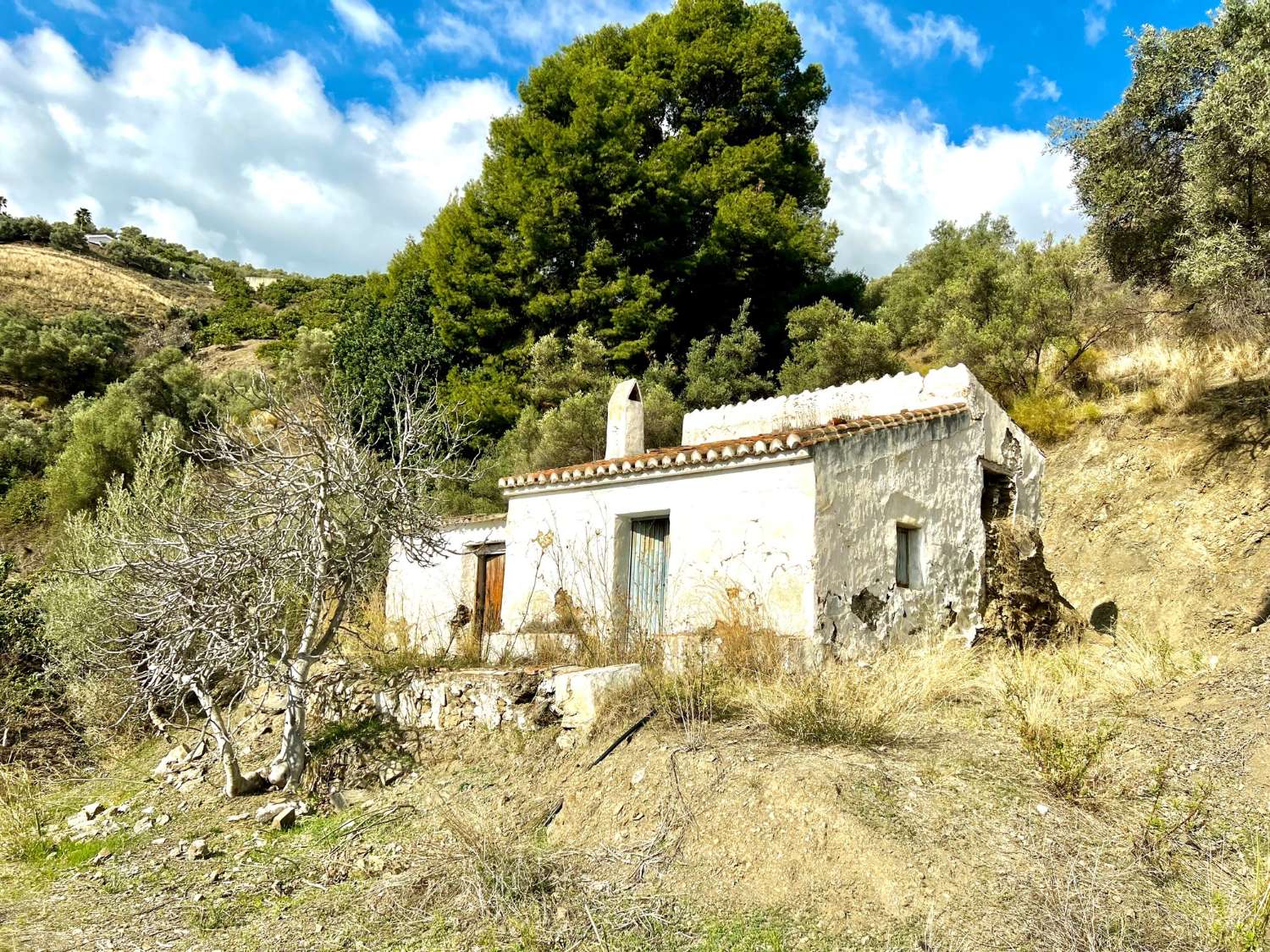 Beautiful plot with an old country house in Frigiliana.