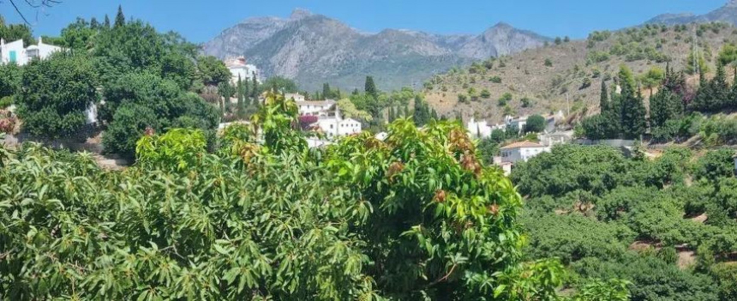 Villa en venta en Frigiliana