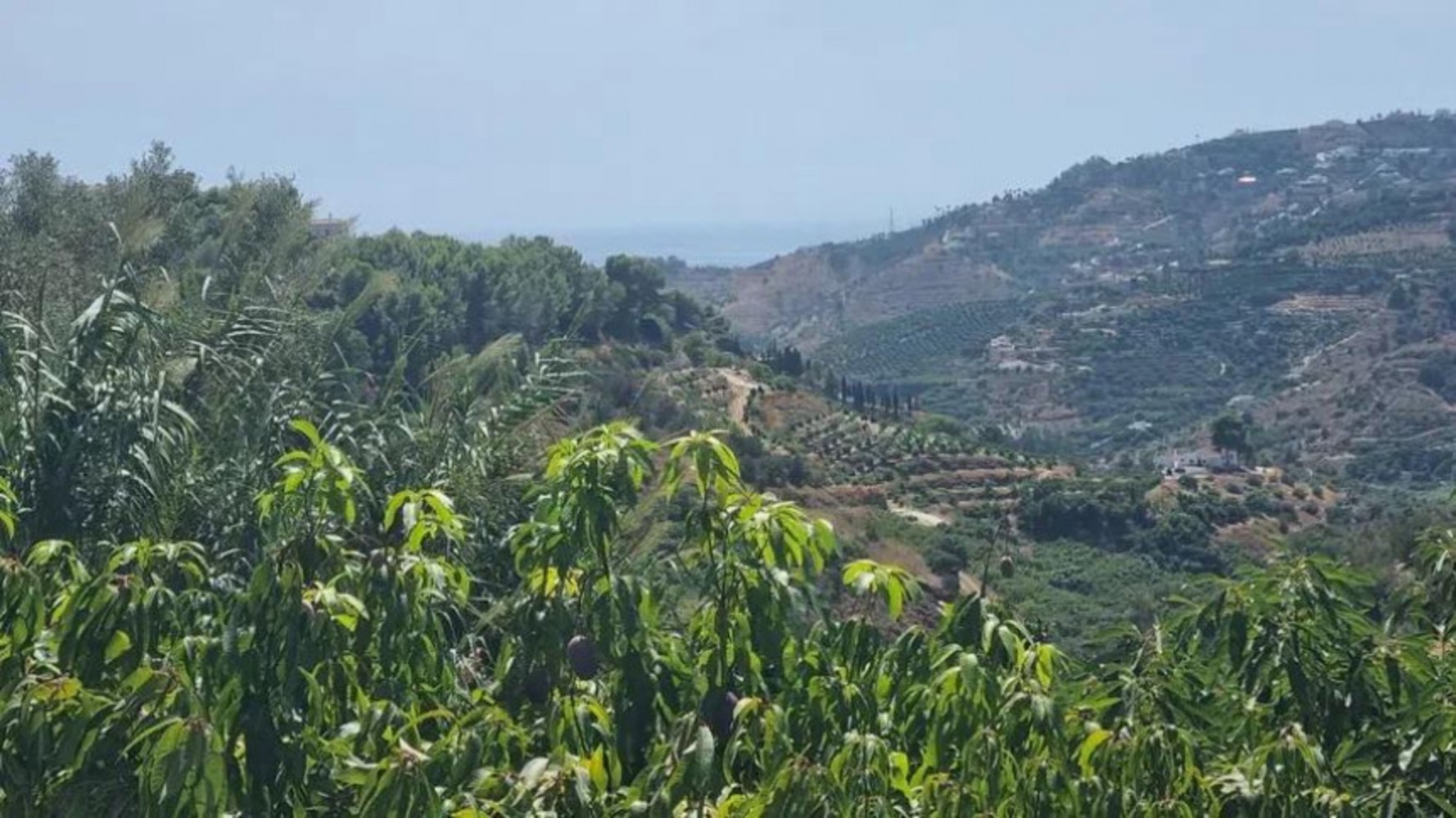 Villa en venta en Frigiliana