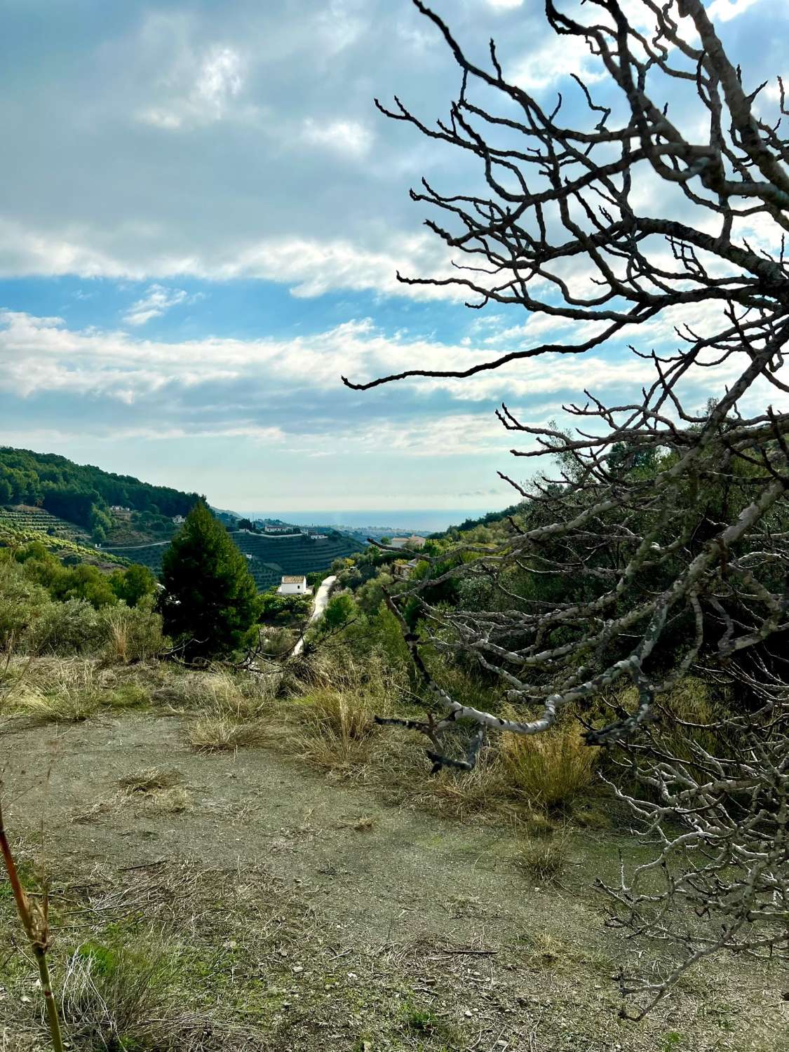 Domain en vente à Frigiliana