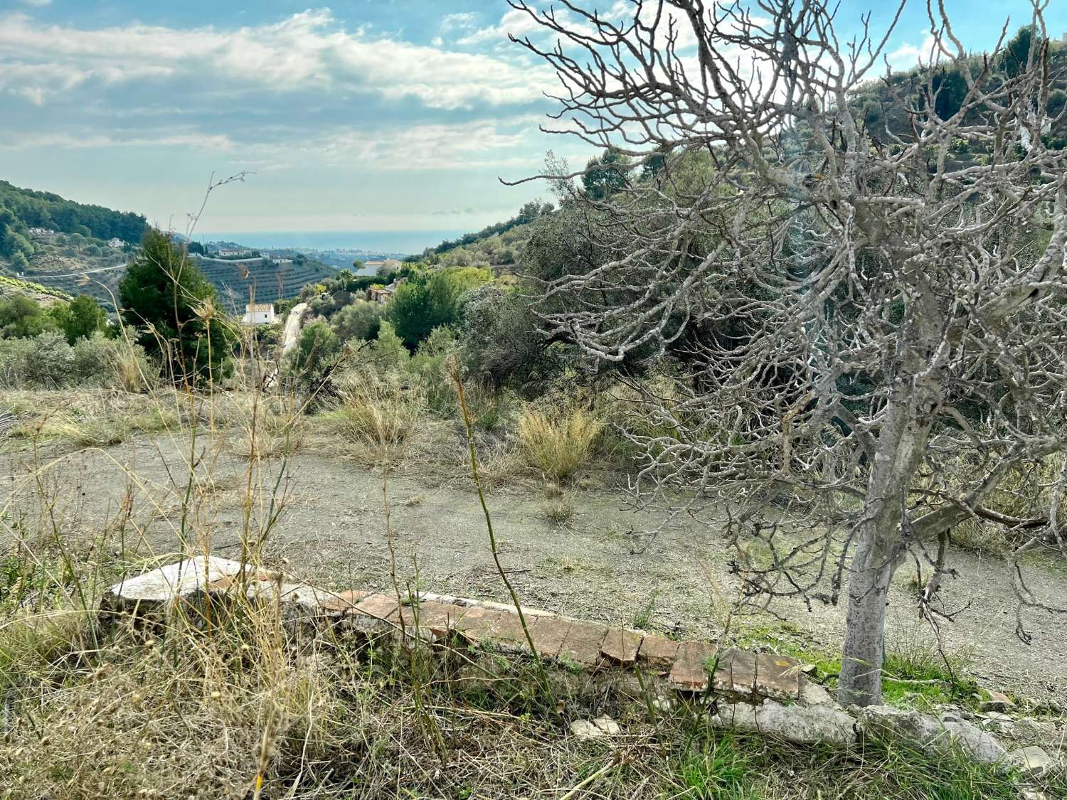 Preciosa finca en Frigiliana con vistas al mar.