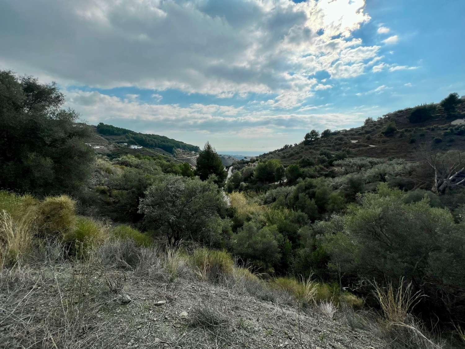 Beautiful plot with an old country house in Frigiliana.