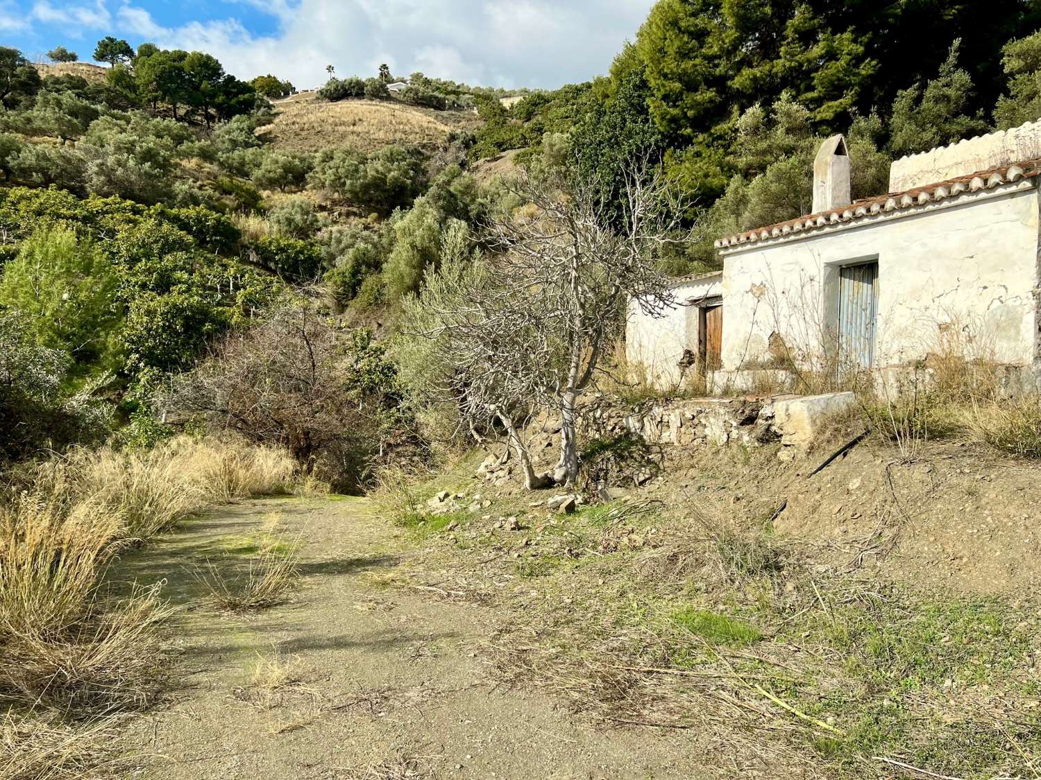 Domain en vente à Frigiliana