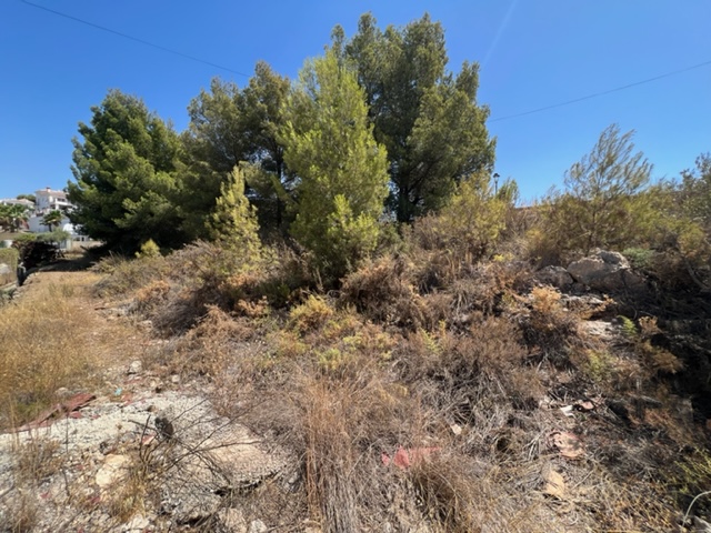 Finca rústica en carretera Frigiliana