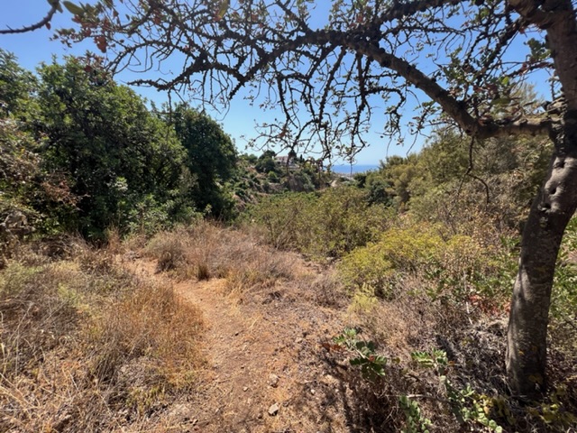 Grundstück zum verkauf in Frigiliana