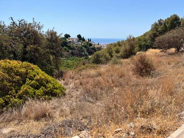 Rustic property on Frigiliana road