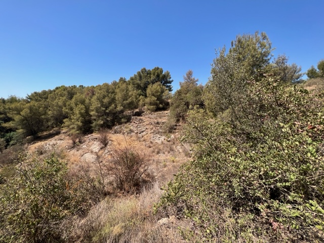 Rustic property on Frigiliana road