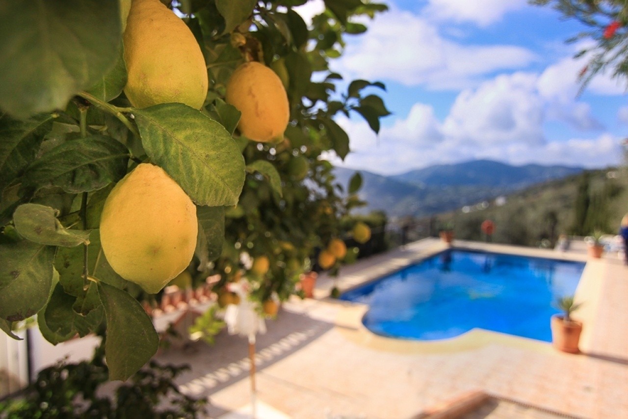 Villa for sale in Frigiliana