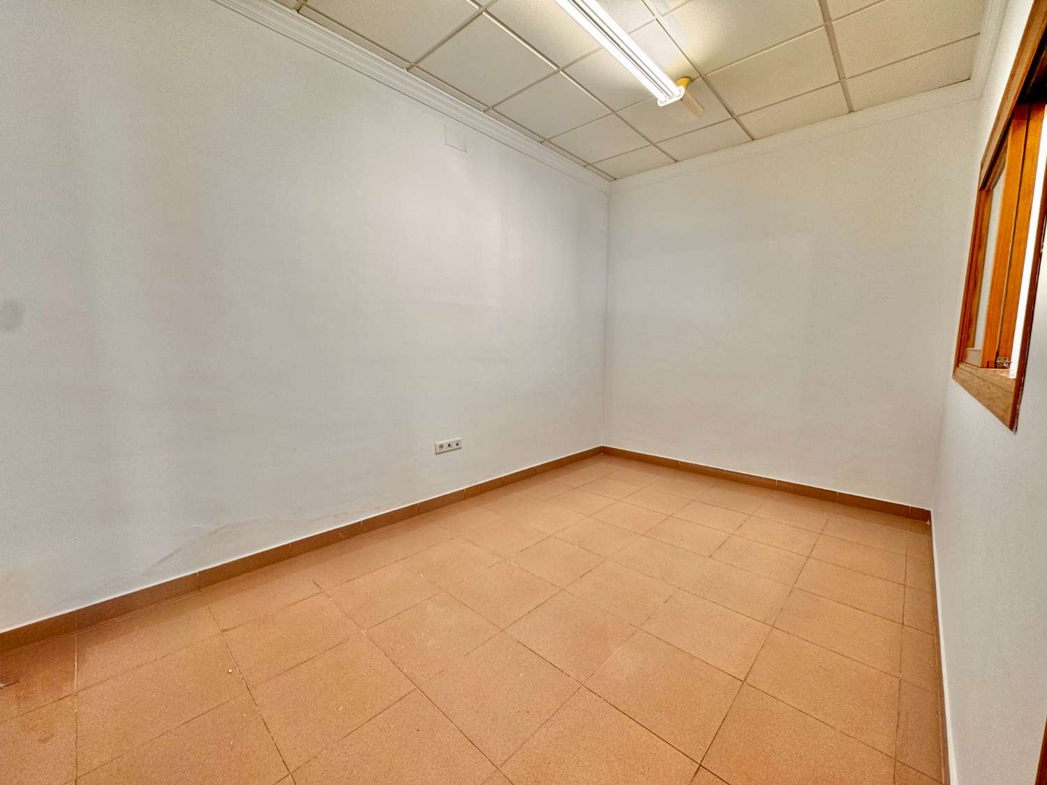 Local Comercial en Alquiler