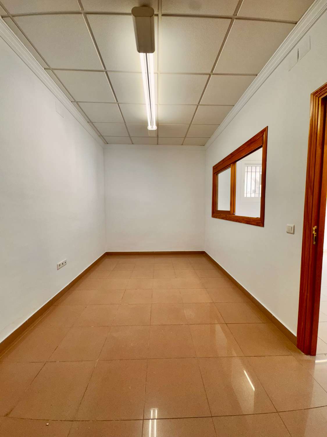 Local Comercial en Alquiler
