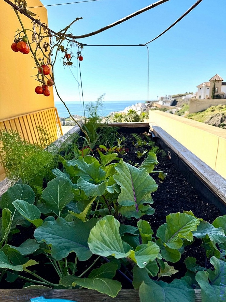 Villa zum verkauf in Torrox Costa
