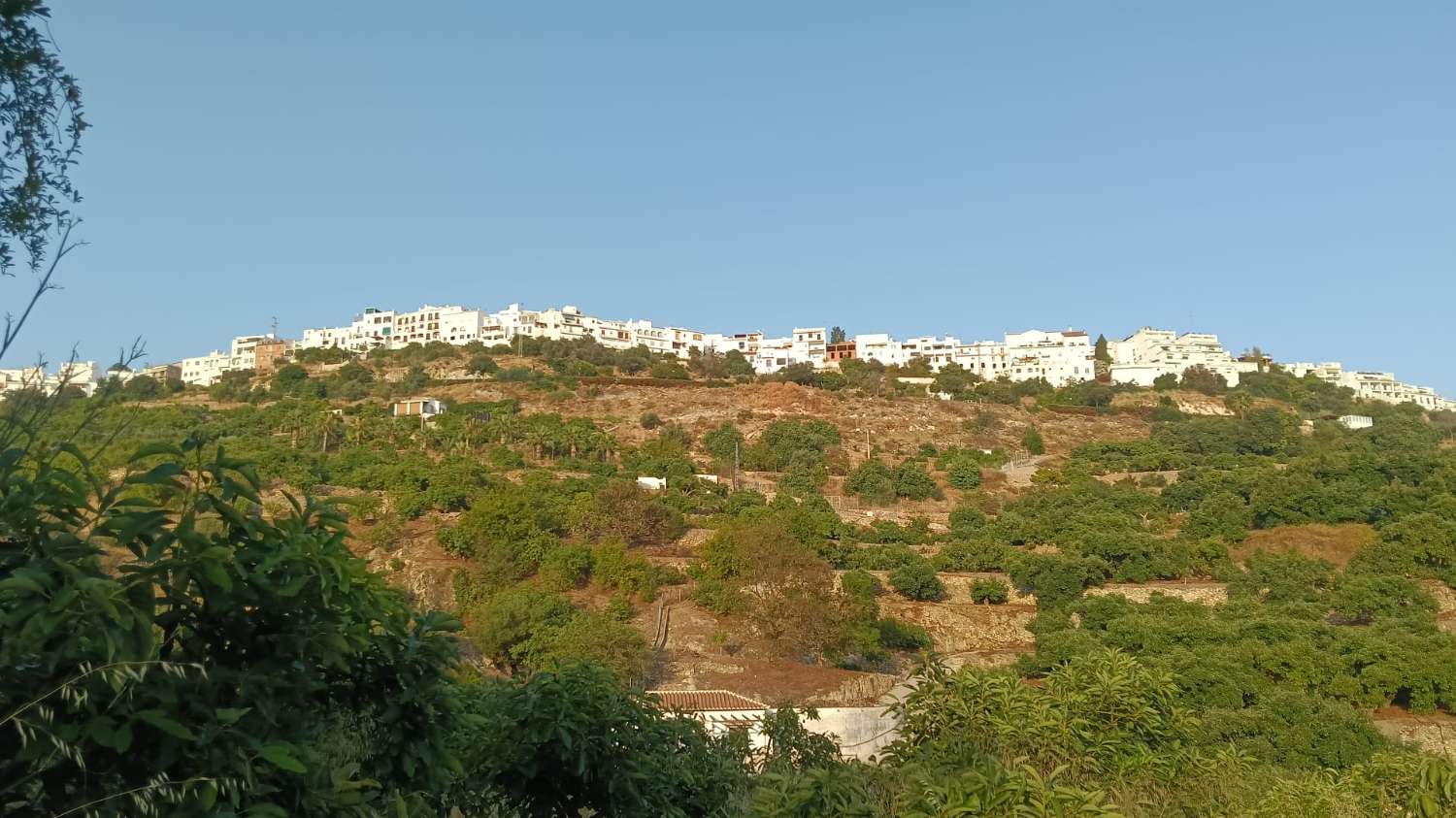 Parzelle zum verkauf in Frigiliana