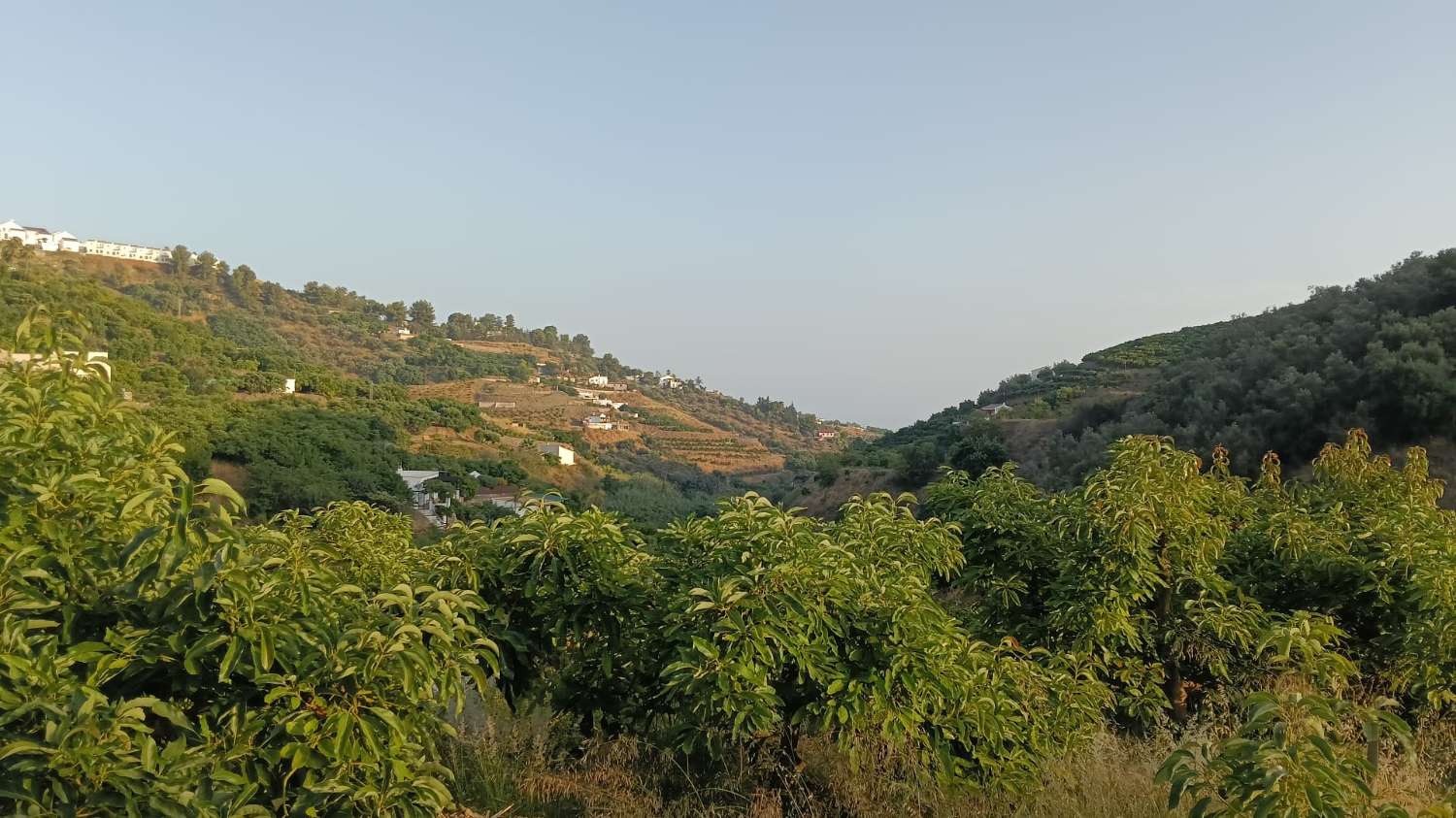 Parzelle zum verkauf in Frigiliana