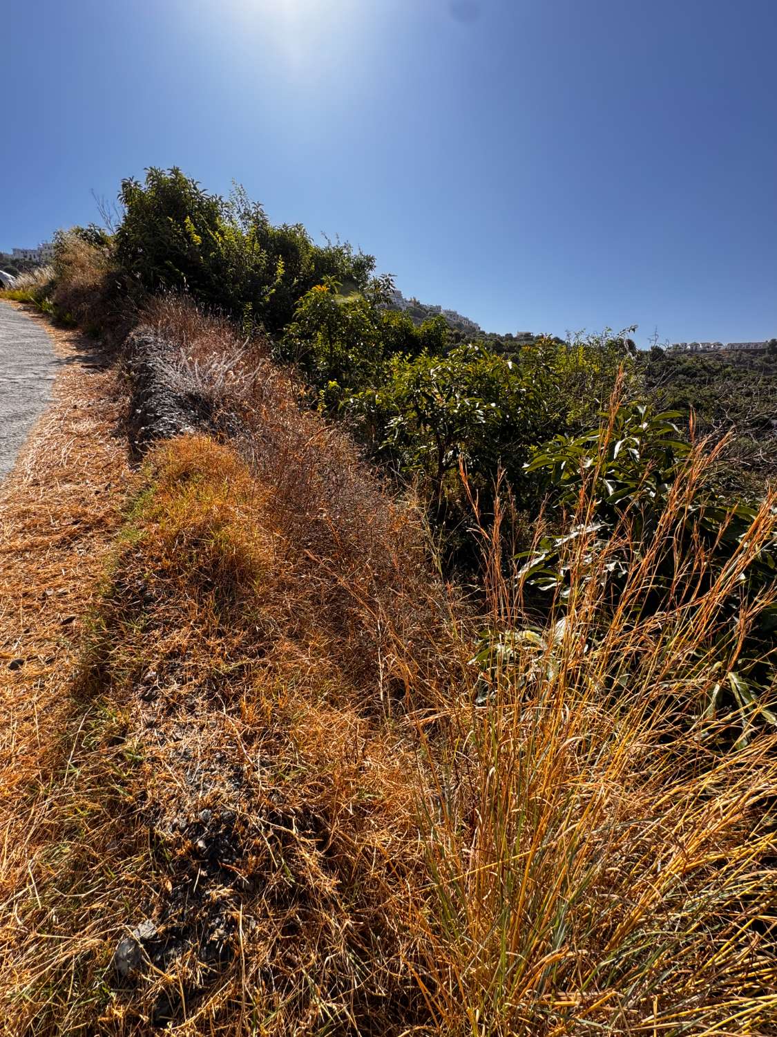 Parzelle zum verkauf in Frigiliana