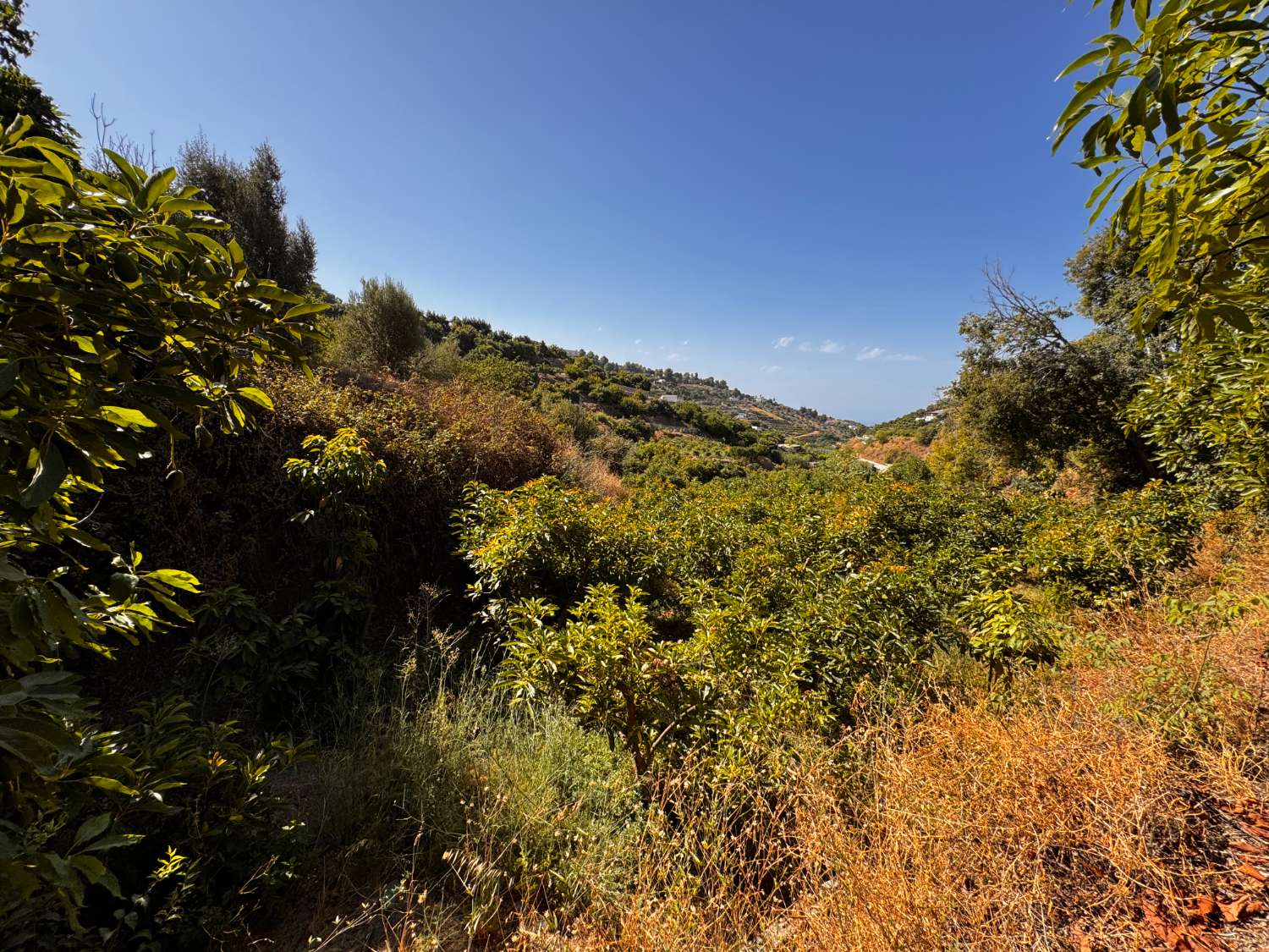 Parzelle zum verkauf in Frigiliana