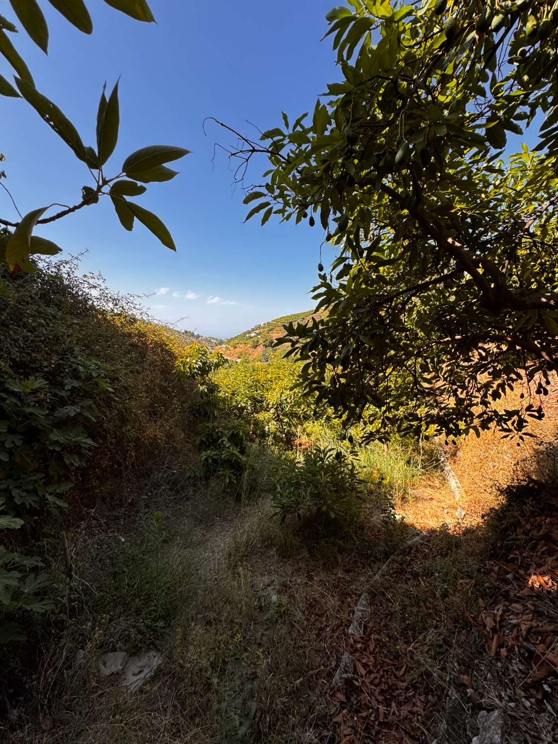 Parzelle zum verkauf in Frigiliana