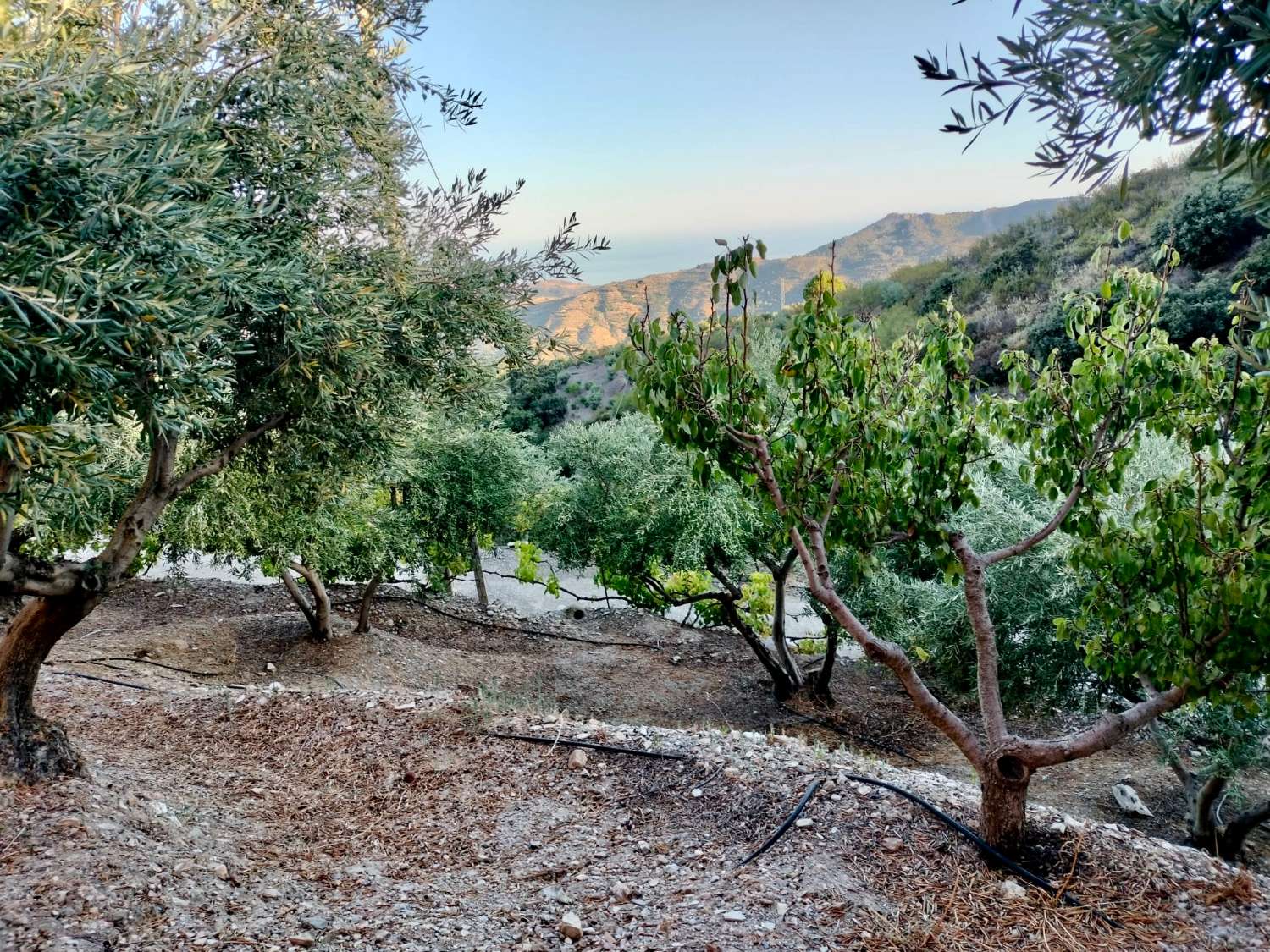 Encantadora casa de campo en Otívar