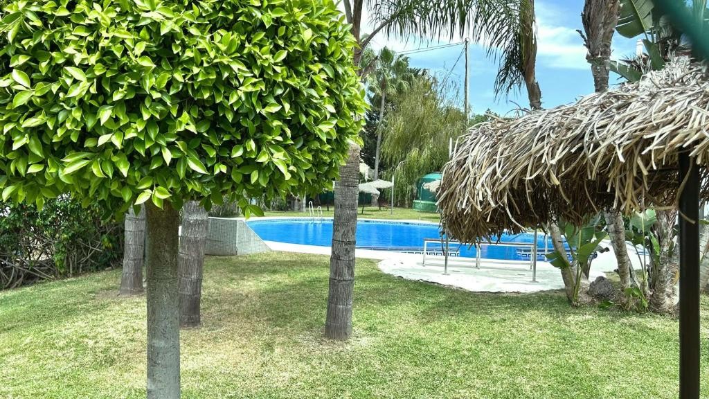 Appartement te koop in Torrox Costa